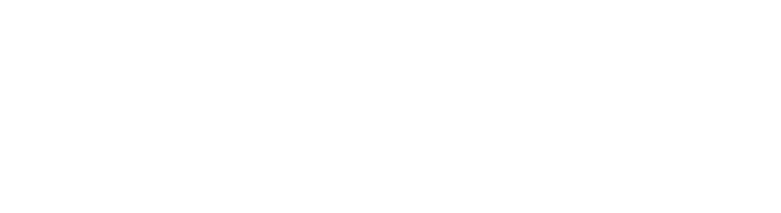 Vectorbirds airborne systems